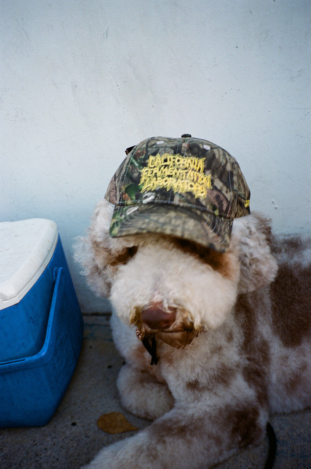 GPA California Fermentation Laboratory Camo Hat