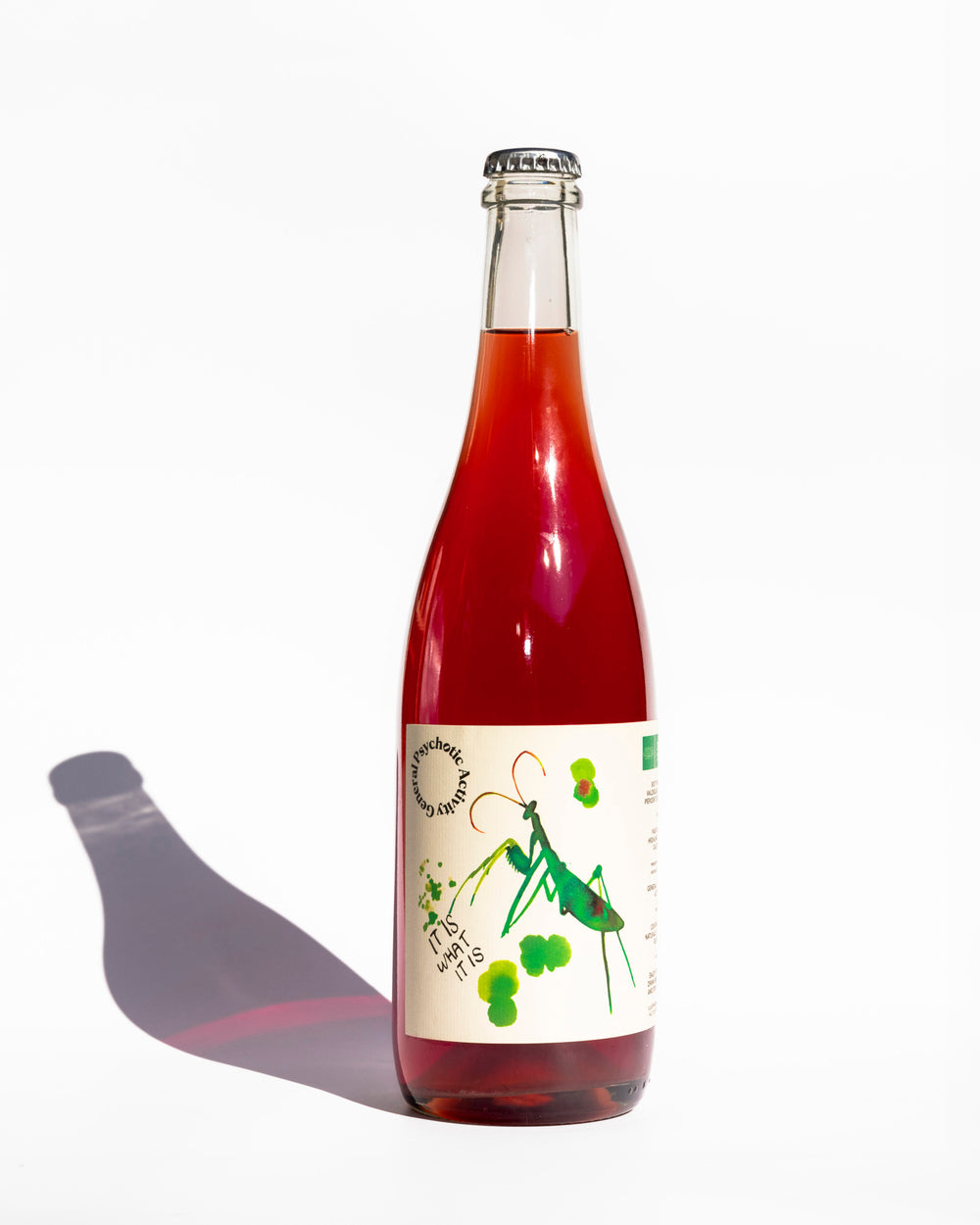Bottle: It Is What It Is (2025)